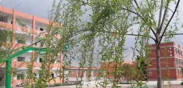 廣州員崗劍父小學